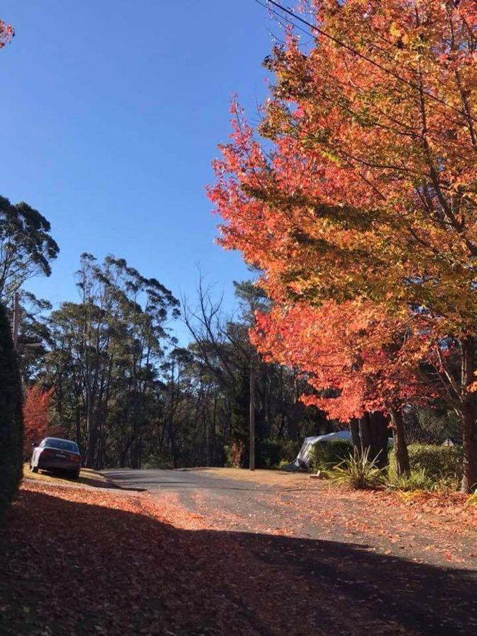 Newly Built - Blue On Albion Villa Katoomba Dış mekan fotoğraf
